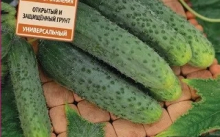 Изумрудная Россыпь