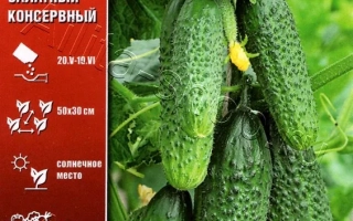 Изумрудный Приз