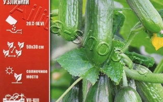 Коктейльный