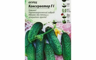 Консерватор