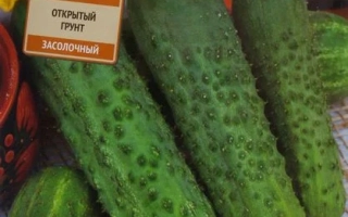 Семена огурца Королевский F1 на упаковке