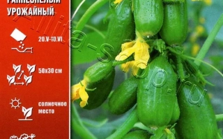 Круглый Урожай