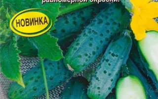 Seed packet of cucumber Ksyusha F1 by Aelita