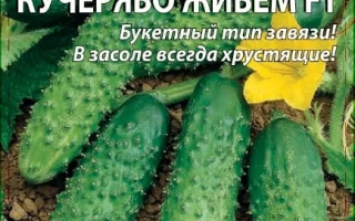 Кучеряво Живём