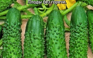 Леонтий Огуречник
