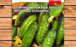 Левина Микс