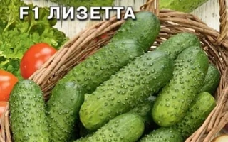 Лизетта