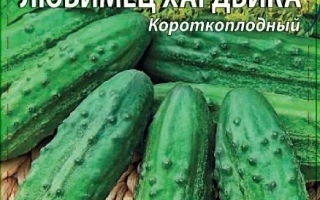 Пакет семян огурца Любимец Хардвика
