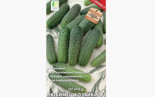 Улюбленець Господині