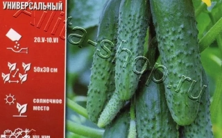 Улюбленець Родини