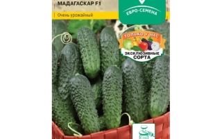 Мадагаскар