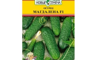 Магдалена F1