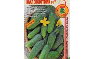 Seed packet for cucumber MAL ZOLOTNIK with image of fruits and flower