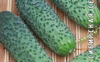 Малахитовая Шкатулка