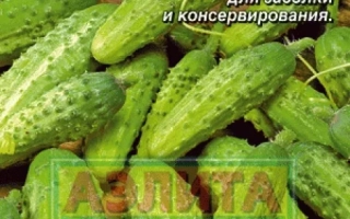 Маленький Волшебник