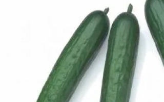 Три зеленых огурца на белом фоне - Мертус РЦ F1