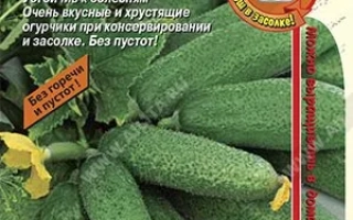 Seed packet of cucumber MIZINCHIK F1 with image of green cucumbers