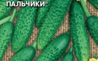 Музыкальные Пальчики