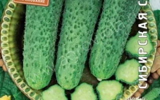 Надежный Товарищ