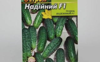 Надийний F1