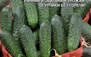 Ниагарский Водопад