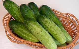 Корзина с огурцами на белом фоне - Дебют F1