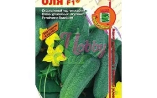 Seed packet for cucumber Olya F1 featuring green cucumbers and yellow flowers.