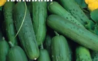 Пальці Паґаніні