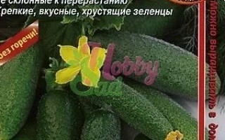 Первоклашка