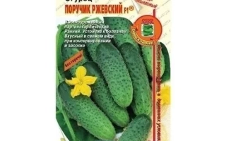 Поручик Ржевский