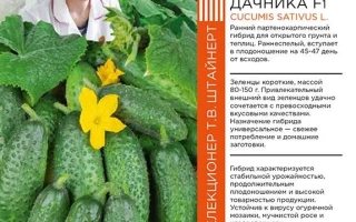 Престиж Дачника