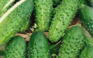 Пролетарський