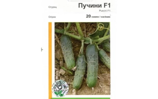 Пучини РЦ F1