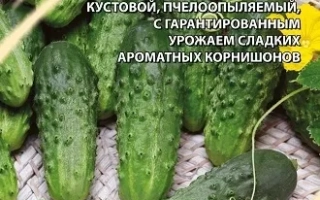 Російська Веселість