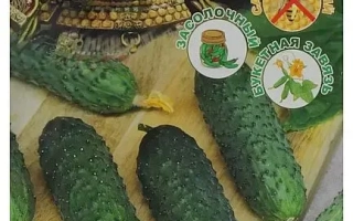 Seed packet of cucumber Samurai with image of cucumbers and a warrior