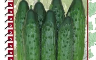 Секрет фирмы F1