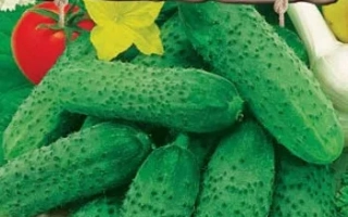 Семеро ПО Лавках