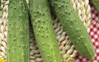 Сентябрьский