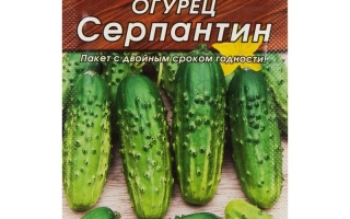 Пакет семян огурца Серпантин с изображением плодов