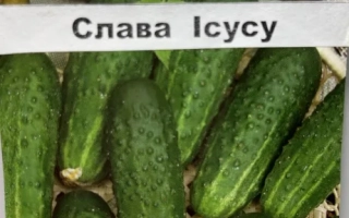 Слава