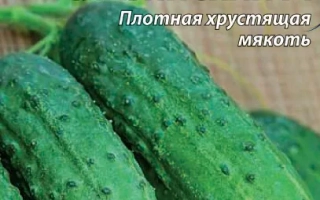 Славянский