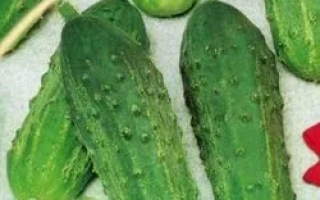 Слободской