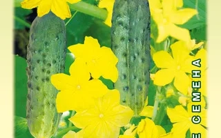 Пакет семян огурца Шмель с изображением огурцов и цветов
