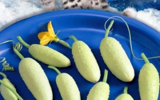 Снежный Барс