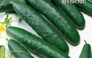 Тёмная Лошадка