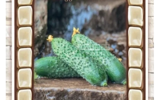 Тещин Погребок