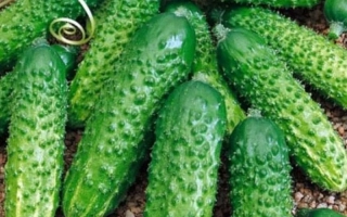 Ультиматум