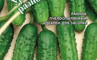 Уральский Разносол
