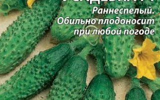 Пакет семян огурца УСАДЕБКА Г1 с изображением зеленых огурцов