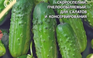 Південний Ізумруд